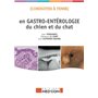 CONDUITES A TENIR EN GASTRO-ENTEROLOGIE DU CHIEN ET DU CHAT