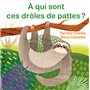 À qui sont ces drôles de pattes ?