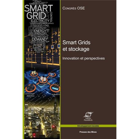 Smart Grids et stockage : innovations et perspectives