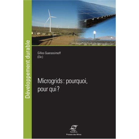 Microgrids : pourquoi, pour qui ?