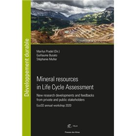 Mineral resources in Life Cycle Assessment