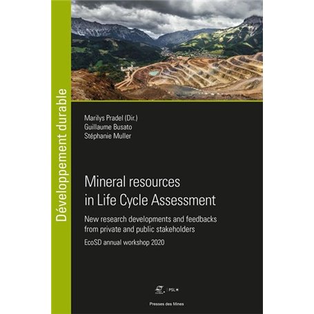 Mineral resources in Life Cycle Assessment