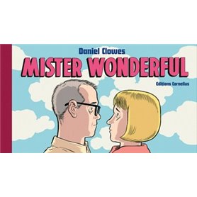 Mister Wonderful