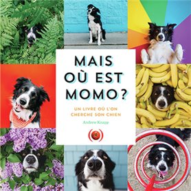 Mais où est Momo ?