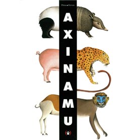 Axinamu