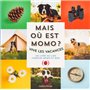 Mais où est Momo ?