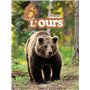 L'ours