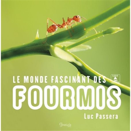 le monde fascinant des fourmis