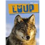 Le loup