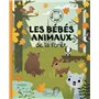 Bébés animaux de la forêt