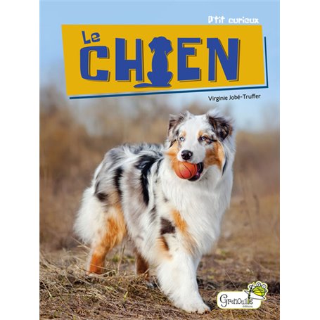 Le chien