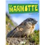 La Marmotte - Nouvelle Edition