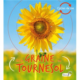 De la graine au tournesol