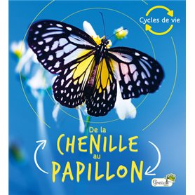 De la chenille au papillon