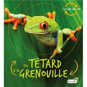 Du têtard à la grenouille