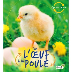 De l'oeuf à la poule