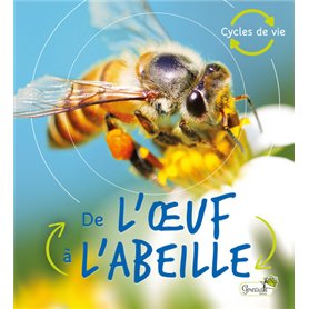 De l'oeuf à l'abeille