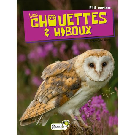 Chouettes et hiboux