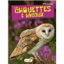 Chouettes et hiboux