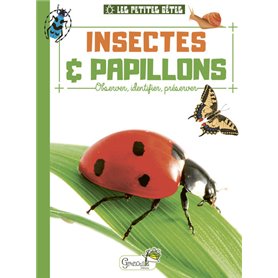 Insectes et papillons