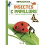 Insectes et papillons