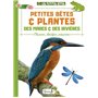 Petites bêtes et plantes des mares et rivières