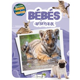 Les bébés animaux