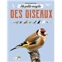 Ma petite encyclo des oiseaux