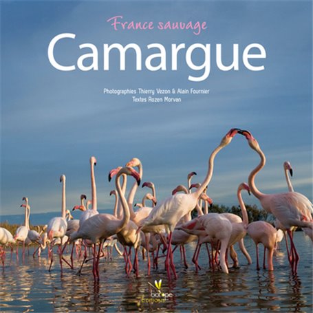 CAMARGUE