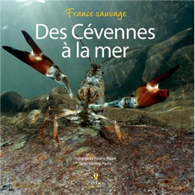 DES CEVENNES A LA MER