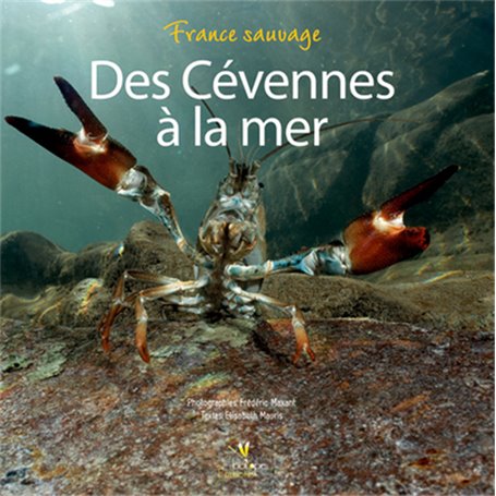 DES CEVENNES A LA MER