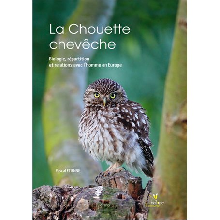 LA CHOUETTE CHEVECHE. BIOLOGIE, REPARTITION ET RELATION AVECL'HOMME EN EUROPE.