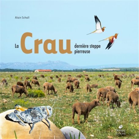 La Crau, dernière steppe pierreuse