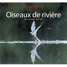 OISEAUX DE RIVIERE