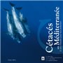 CETACES EN MEDITERRANEE - RECITS ET RESULTATS DE 12 ANS D'ETUDES DU WWF FRANCE