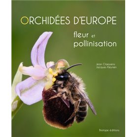 Orchidées d'Europe fleur et pollinisation
