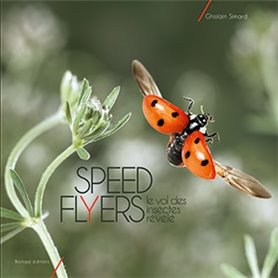 Speed flyers le vol des insectes révélé