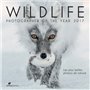 Wildlife photographer of the year 2017