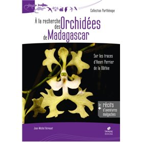 À la recherche des orchidées de Madagascar