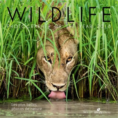 Wildlife photographer of the year 2018