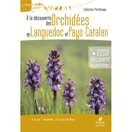 À la découverte des orchidées en Languedoc et pays catalan