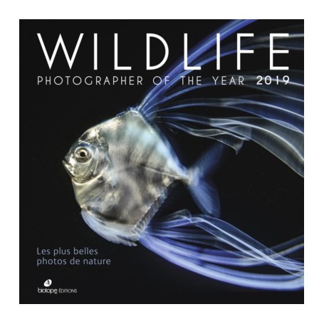 Wildlife photographer of the year 2019