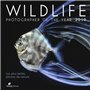 Wildlife photographer of the year 2019