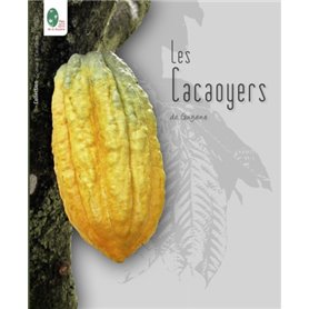 Les cacaoyers de Guyane