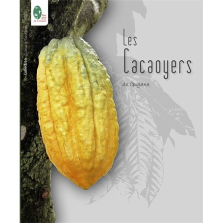 Les cacaoyers de Guyane