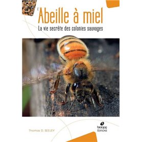 L'abeille a miel