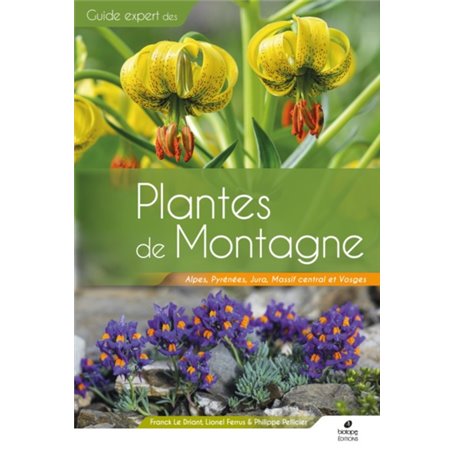 Plantes de Montagne