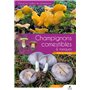 Manuel des champignons comestibles et toxiques