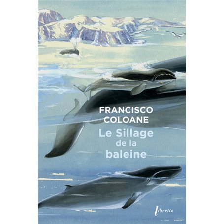 Le sillage de la baleine