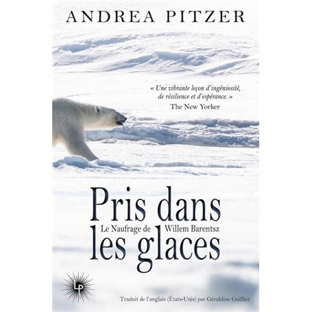 Pris dans les glaces